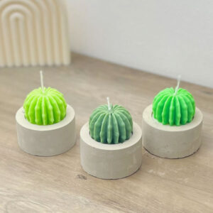 Molde de silicona Cactus#2